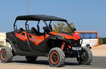 Buggy Makadi Desert Trip