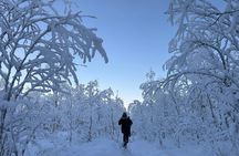 Guided Daytime Ski Adventure: Explore Private Trails by Rovaniemi