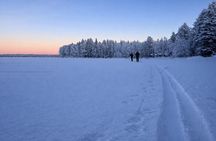 Guided Daytime Ski Adventure: Explore Private Trails by Rovaniemi