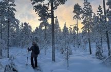 Guided Daytime Ski Adventure: Explore Private Trails by Rovaniemi