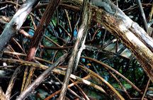 Vanilla Circuit, meeting our local producers