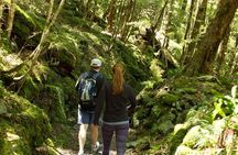 Full Day Small Group Routeburn Valley Hike