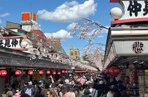 Experience Tokyo with Asakusa Walking Tour