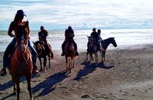 Horseback Riding in Tarcoles Garabito, a Life Experience.