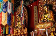 Private Tour to Lama Temple, Tian'anmen Square and Forbidden City