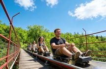 Beijing Mini Group Tour to Mutianyu Great Wall (Max 8+Tickets)