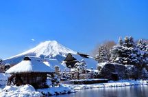 One Day Hakone and Mount Fuji Area Tour from Tokyo