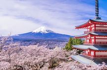 From Tokyo: Mt. Fuji 6 Attractions: Lake Kawaguchi, Oshino Hakkai