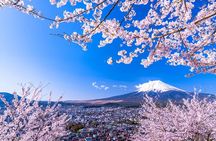 From Tokyo: Mt. Fuji 6 Attractions: Lake Kawaguchi, Oshino Hakkai