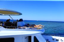 Marsa Alam Marsa Mubarak Sea Cow and Turtles Snorkeling