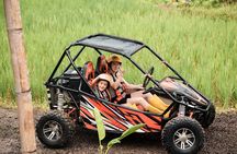 Bali Buggy Adventure Tour&with Lunch