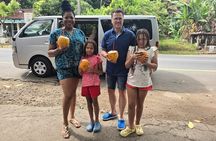 Colombo City Sightseeing Tour by Car