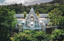Easy Going El Yunque Rainforest Bus Tour
