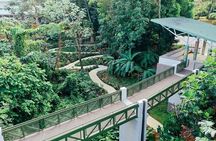 Easy Going El Yunque Rainforest Bus Tour