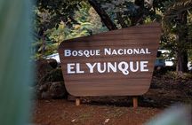 Easy Going El Yunque Rainforest Bus Tour