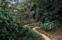 Easy Going El Yunque Rainforest Bus Tour