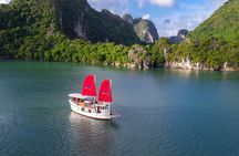 Private Cruise from Ha Long Bay - Lan Ha Bay - Bai Tu Long Bay