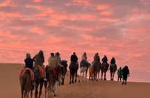 Marrakech 2-Hours Quad Bike & Camel Adventure with Moroccan Tea