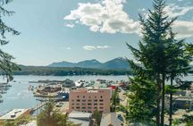 Customized Private Tour in Minibus