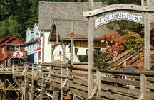 Customized Private Tour in Minibus