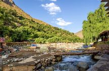 Ourika Valley Day Trip with Waterfalls and Berber Culture