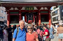 Tokyo Private Half-Day Highlights Tour by Car with Guide