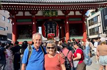 Tokyo Private 1-Day Sightseeing Tour by Car with Guide