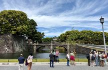 Tokyo Private Half-Day Highlights Tour by Car with Guide