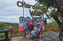 Roatan chocolate and rum company tour with optional stops