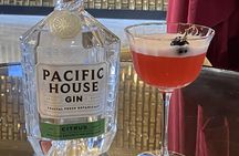 San Francisco Gin Cocktail Class Views and Gin History