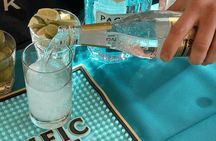 San Francisco Gin Cocktail Class Views and Gin History