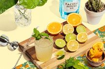 San Francisco Gin Cocktail Class Views and Gin History