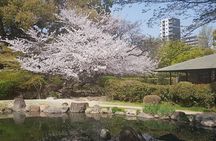 Full Day Private Osaka Tour with Local Highlights and Hidden Gems