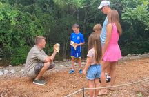 Marco Island Safari Truck Tour