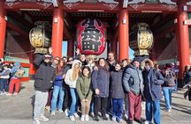 Tokyo 1 Day Private Tour from Cruise Port Walking Experience