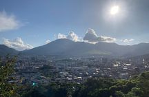 Beppu and Yufuin Hot Springs and Nature Tour