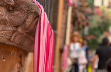 Private Tour from Mexico City to San Miguel de Allende