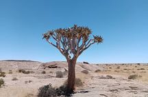 Namib Naukluft National Park Landscape and Birding Day Tour