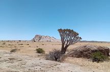 Namib Naukluft National Park Landscape and Birding Day Tour