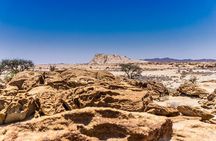 Namib Naukluft National Park Landscape and Birding Day Tour