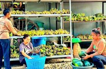 Elephant Nature Care, the largest elephant sanctuary on Koh Samui