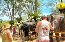 Elephant Nature Care, the largest elephant sanctuary on Koh Samui