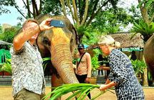 Elephant Nature Care, the largest elephant sanctuary on Koh Samui