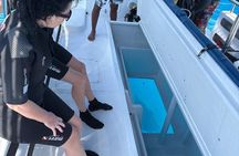 PADI Discover Scuba Diving Eden Islands First Dive