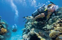 Half Day Scuba Diving Adventure in Salalah