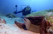 Half Day Scuba Diving Adventure in Salalah