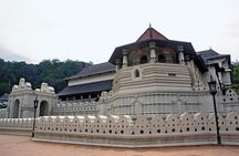 Luxury Day Trip from Colombo to Pinnawala and Kandy Highlights