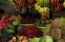 Luxury Day Trip from Colombo to Pinnawala and Kandy Highlights