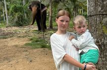 Luxury Day Trip from Colombo to Pinnawala and Kandy Highlights