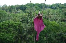 Bali Swing, Koi Boat Photo, Monkey Forest and Waterfall Ubud Tour